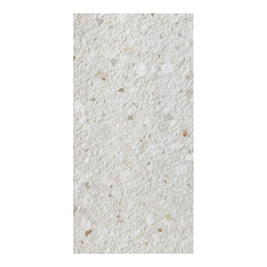 
                  
                    Framme Terrazzo Bianco Rock Tile 300x600 $89.95m2 (Sold by 1.26m2 Box)
                  
                