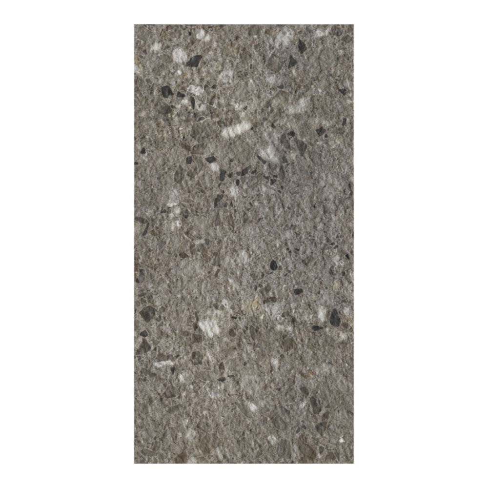 Framme Terrazzo Grigio Rock Tile 300x600 $89.95m2 (Sold by 1.26m2 Box)