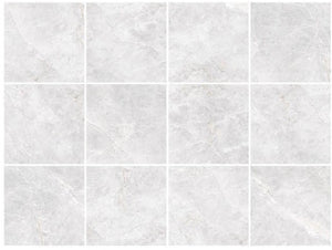 
                  
                    TUNDRA BIANCO POLISHED
                  
                