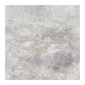 
                  
                    TUNDRA GREY POLISHED
                  
                