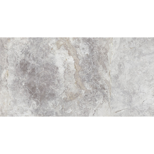 
                  
                    TUNDRA GREY POLISHED
                  
                