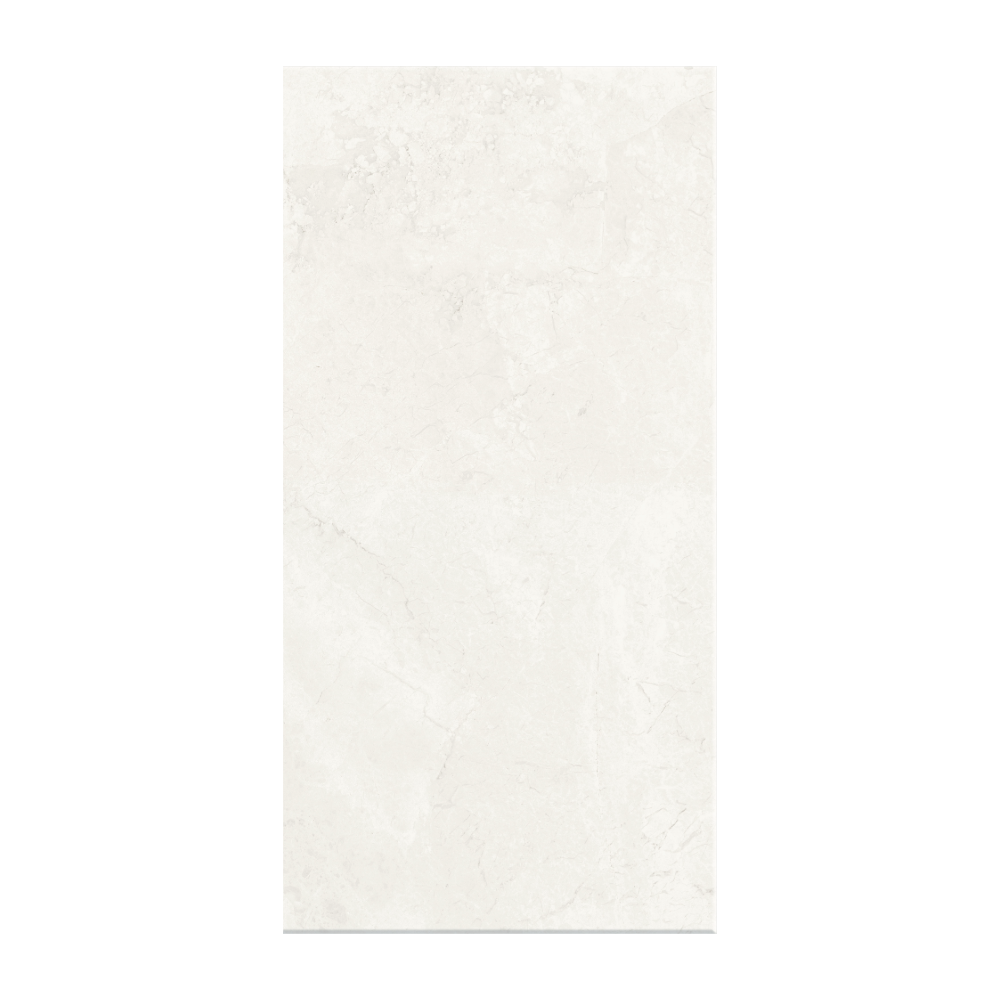 
                  
                    TUNDRA WHITE MATT (P3)
                  
                