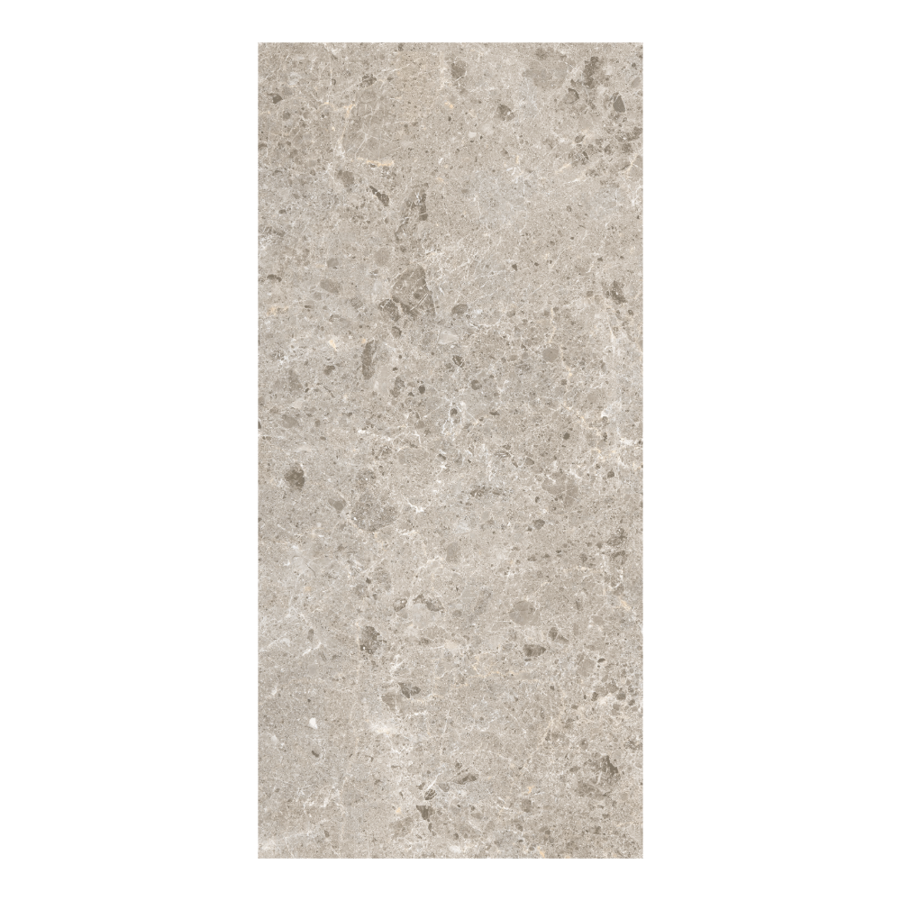 
                  
                    TERRAZZO GREY MATT (P3)
                  
                
