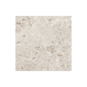 
                  
                    TERRAZZO WHITE MATT (P3)
                  
                