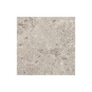 
                  
                    TERRAZZO GREY MATT (P3)
                  
                