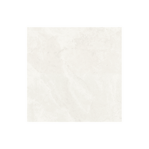 
                  
                    TUNDRA WHITE MATT (P3)
                  
                
