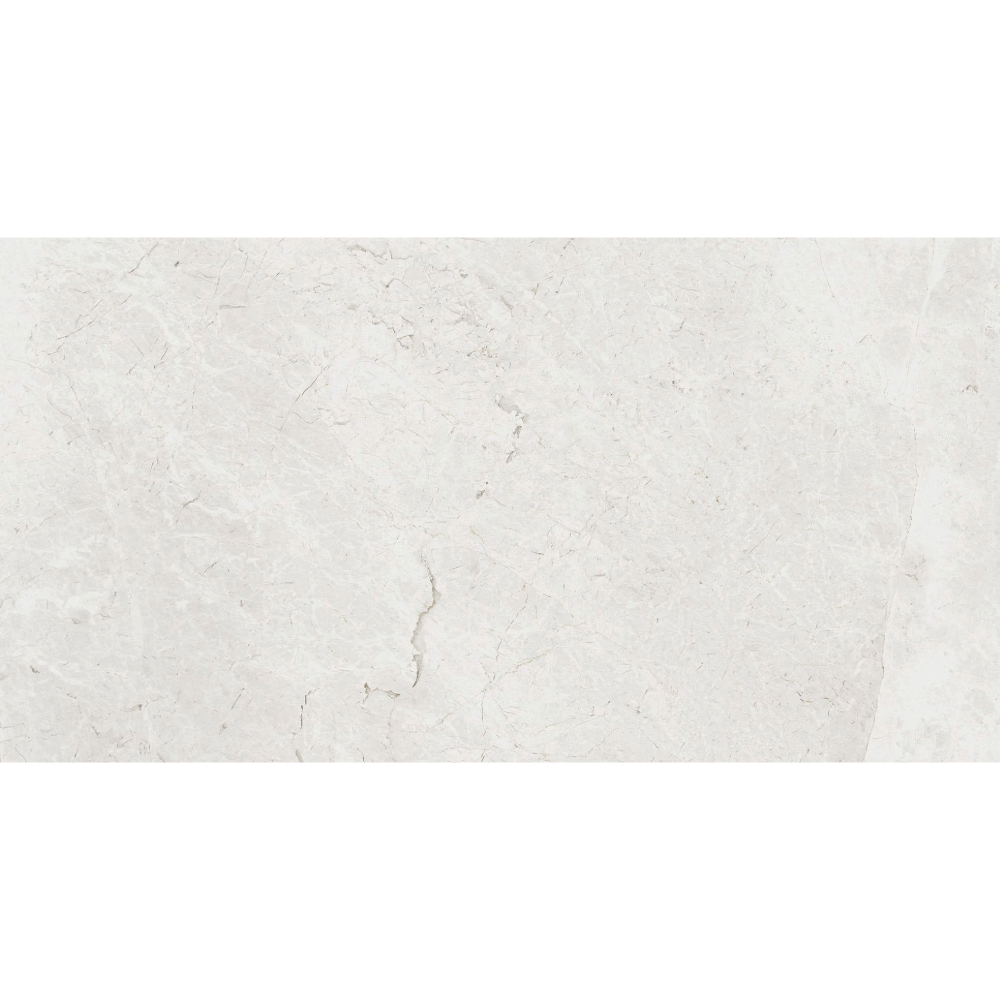 
                  
                    TUNDRA WHITE MATT (Indoor/Outdoor)
                  
                
