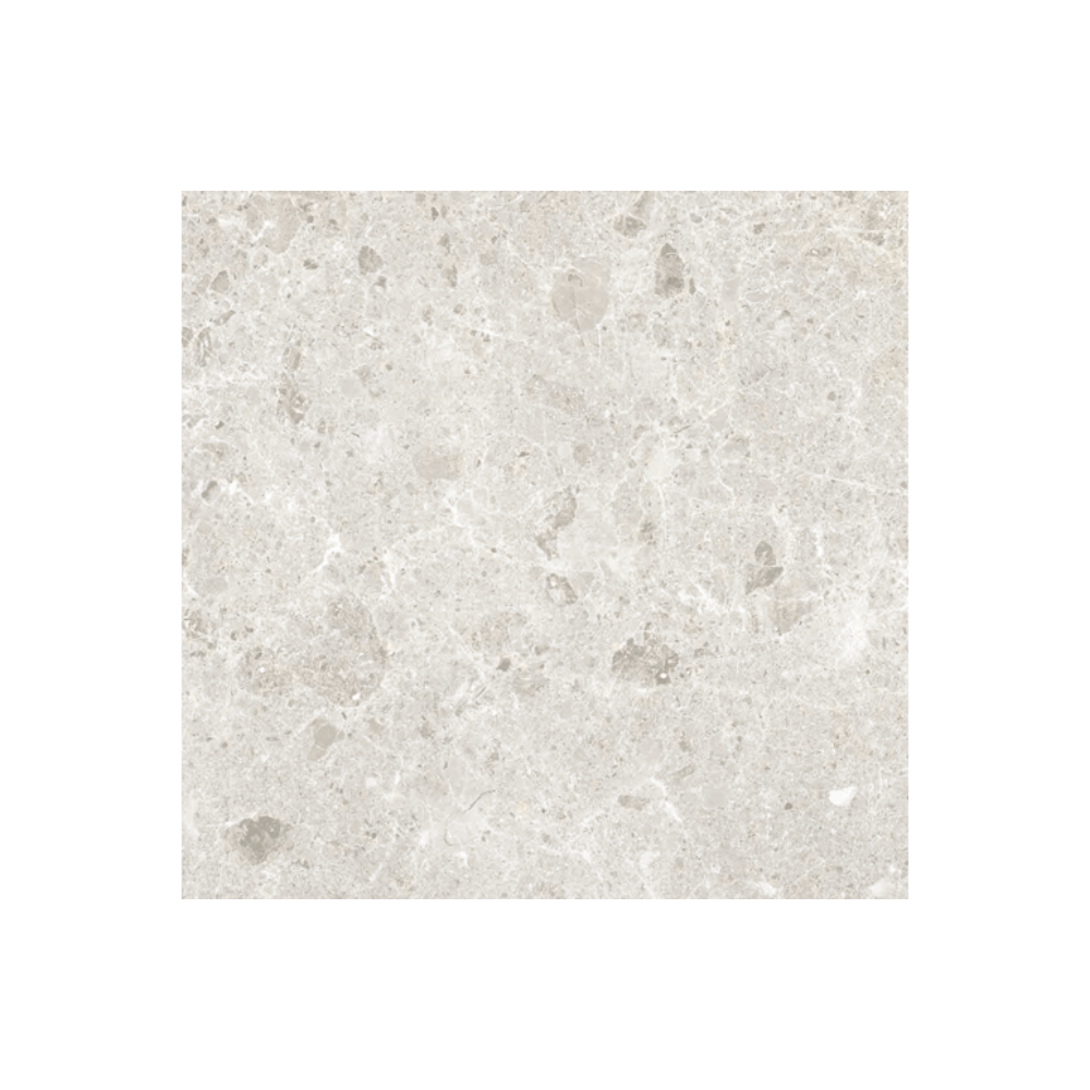 
                  
                    COASTAL WHITE MATT (P3)
                  
                