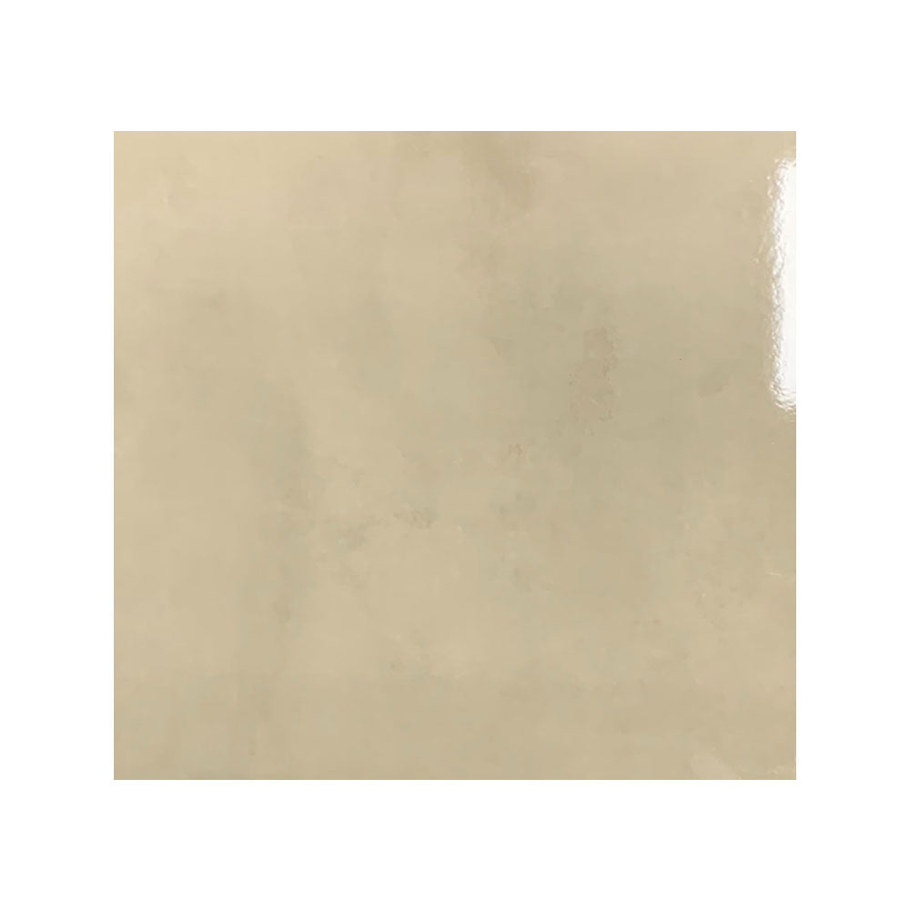 Magic Taupe Gloss 450x450 $24.95m2 (Sold by 1.22m2 Box)