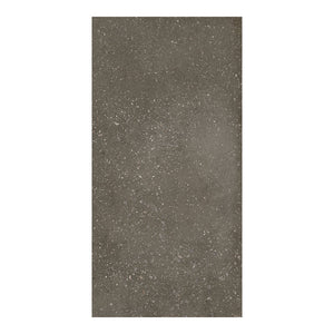 
                  
                    Sala Dark Grey Matt Tile 300x600 $46.95m2 (Sold by 1.44m2 Box)
                  
                