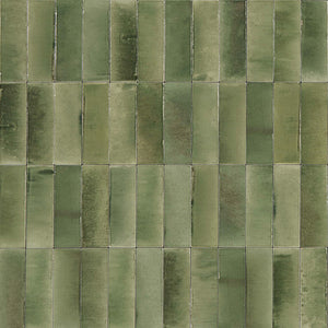 
                  
                    Milan Green Gloss Tile 50x150 $139m2 (Sold by 0.81m2 Box)
                  
                