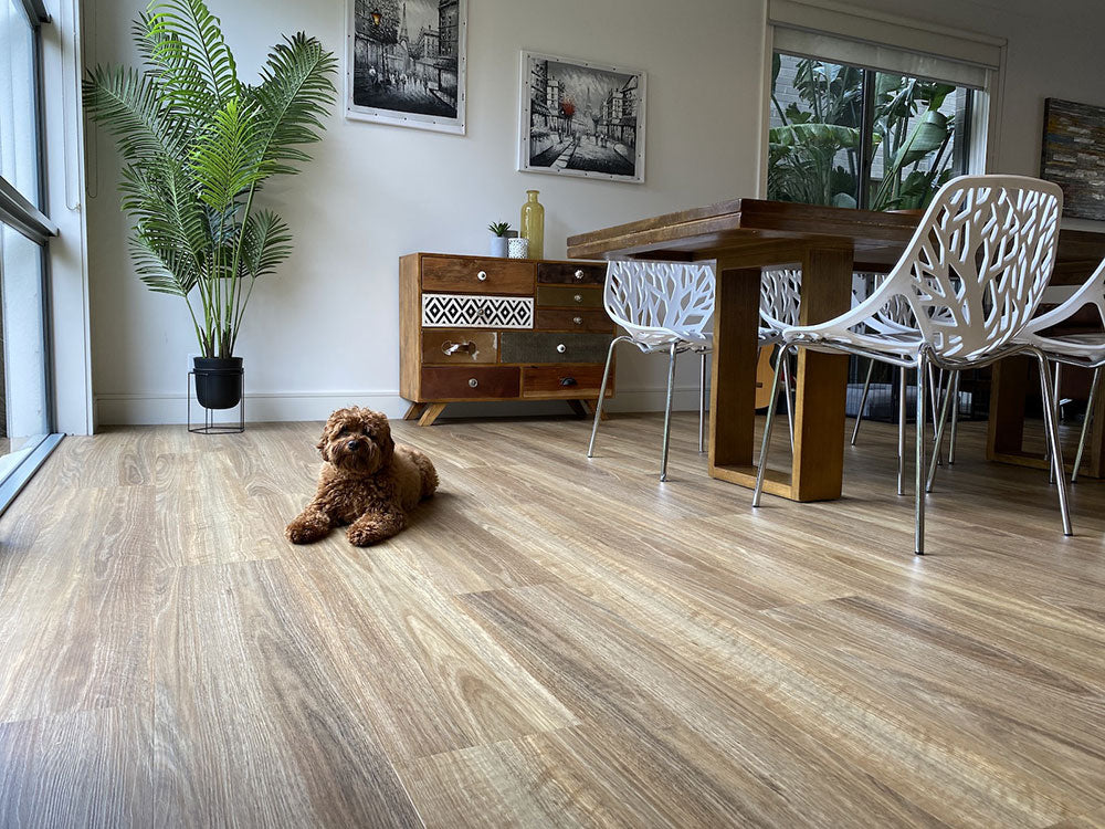 
                  
                    Vinyl Flooring 5mm NSW Spotted Gum $54.95m2 (Sold by 2.09m2 Box)
                  
                