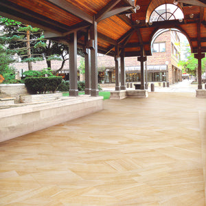 
                  
                    Sandstone External Tile / Paver 600x600x20mm $86.95m2 (Sold by 0.72m2 Box)
                  
                