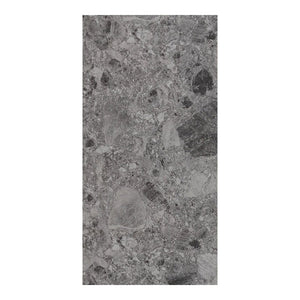 
                  
                    Terrazzo Stone Pewter Matt Tile 300x600 $59.95m2 (Sold by 1.44m2 Box)
                  
                