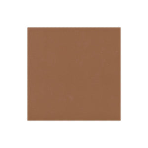 
                  
                    Terracotta External Tile 300x300 $59.95m2 (Sold by 1m2 Box)
                  
                
