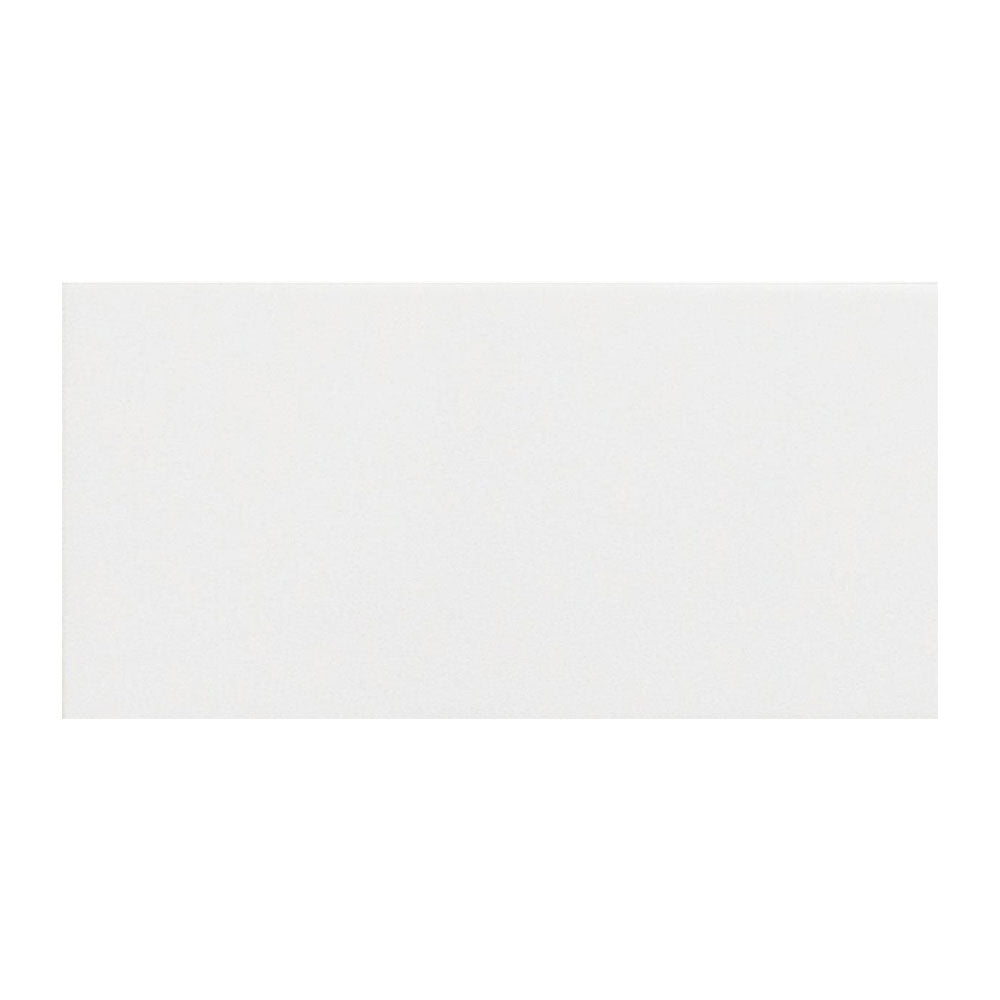 Basics White Gloss Tile 100x200 $32.95m2 (Sold by 1.52m2 Box)