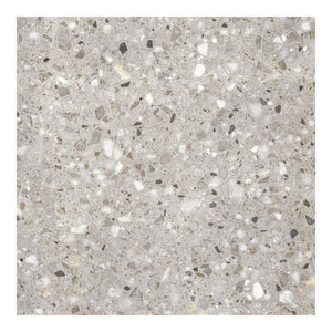 
                  
                    Framme Terrazzo Taupe Polished Tile 600x600 $96.95m2 (Sold by 1.08m2 Box)
                  
                